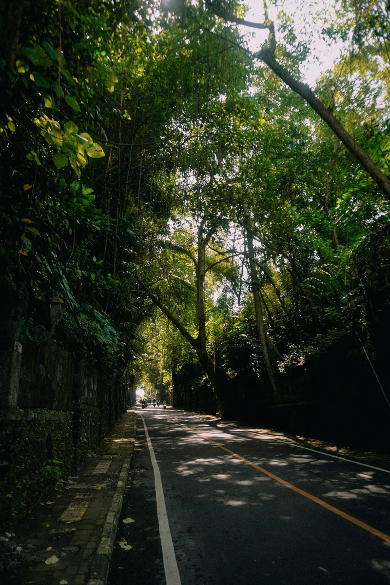 Bali