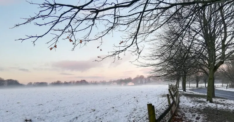 Manchester / Cheshire